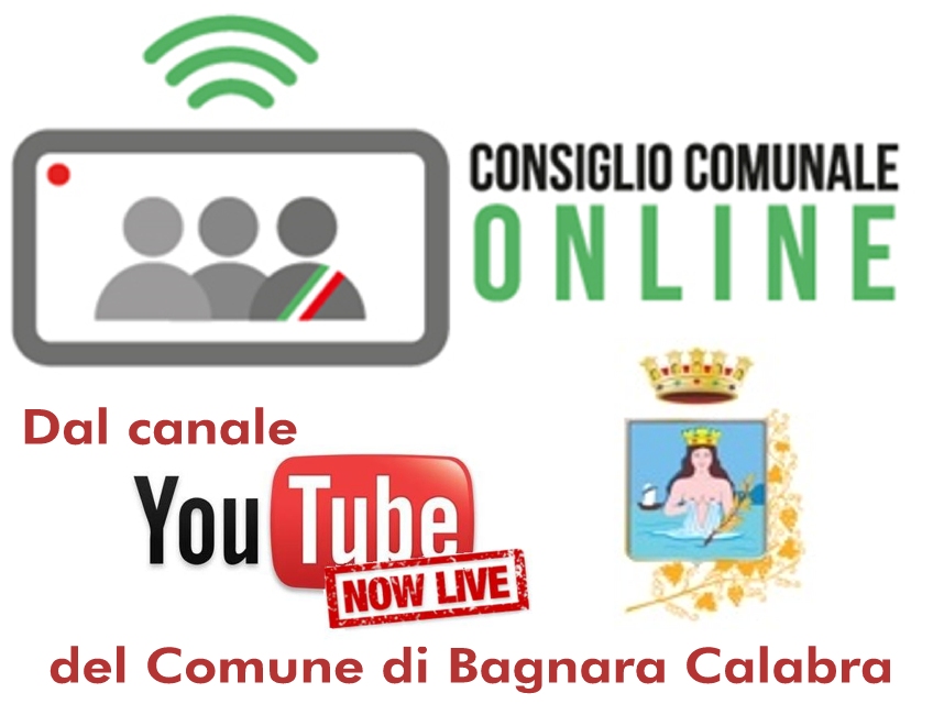 Consiglio in diretta