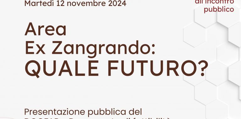 Area ex Zangrando: quale futuro?