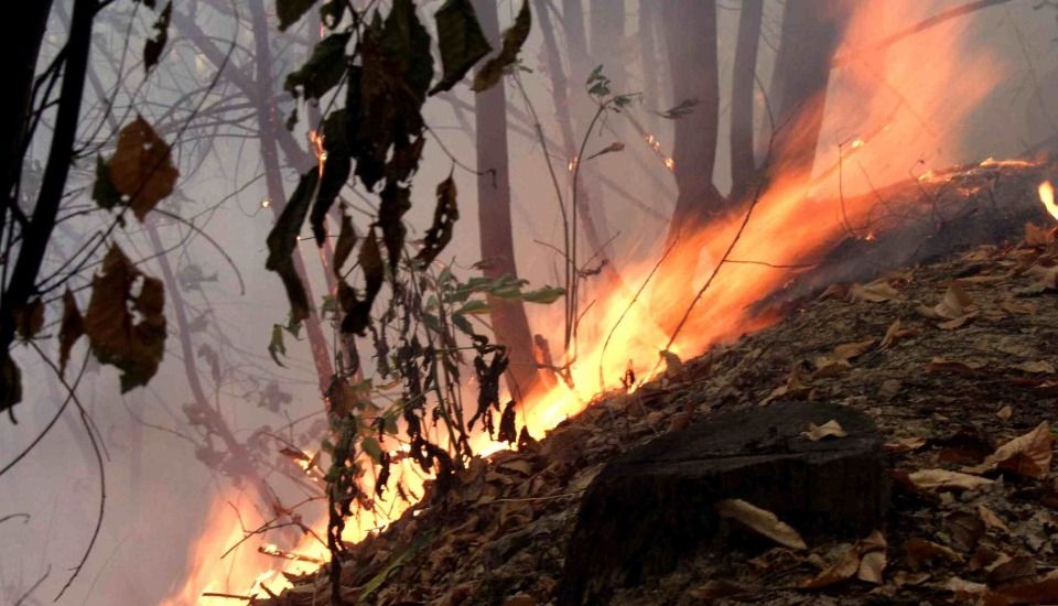 Misure limite uso caldaie e divieto di abbruciamento anche di materiale vegetale