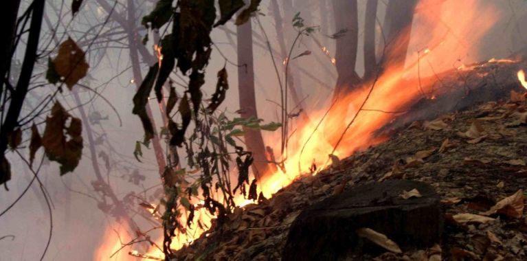 Misure limite uso caldaie e divieto di abbruciamento anche di materiale vegetale