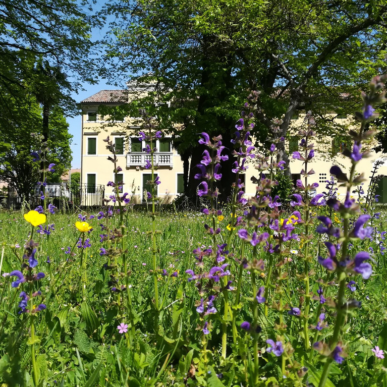 Modalità di accesso alla biblioteca dal 13 aprile