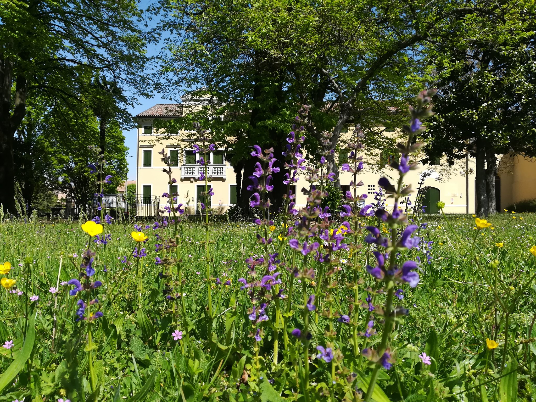 Sospensione interprestito e orario della biblioteca in agosto