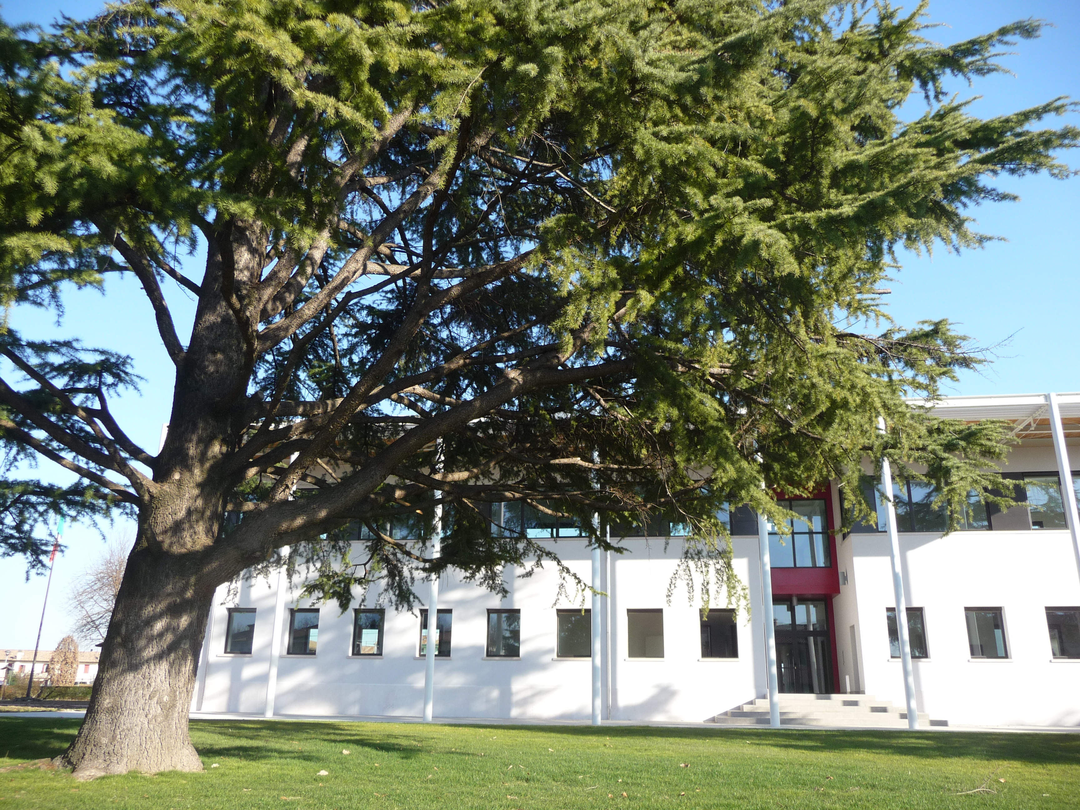 ACCESSO IN MUNICIPIO SU APPUNTAMENTO o CONTINGENTATO