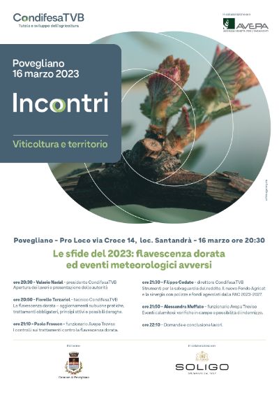 Incontri CondifesaTVB - Viticoltura e territorio - PRO LOCO POVEGLIANO