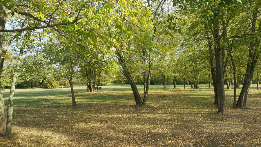 Aree pubbliche: parchi, giardini, ville, aree attrezzate