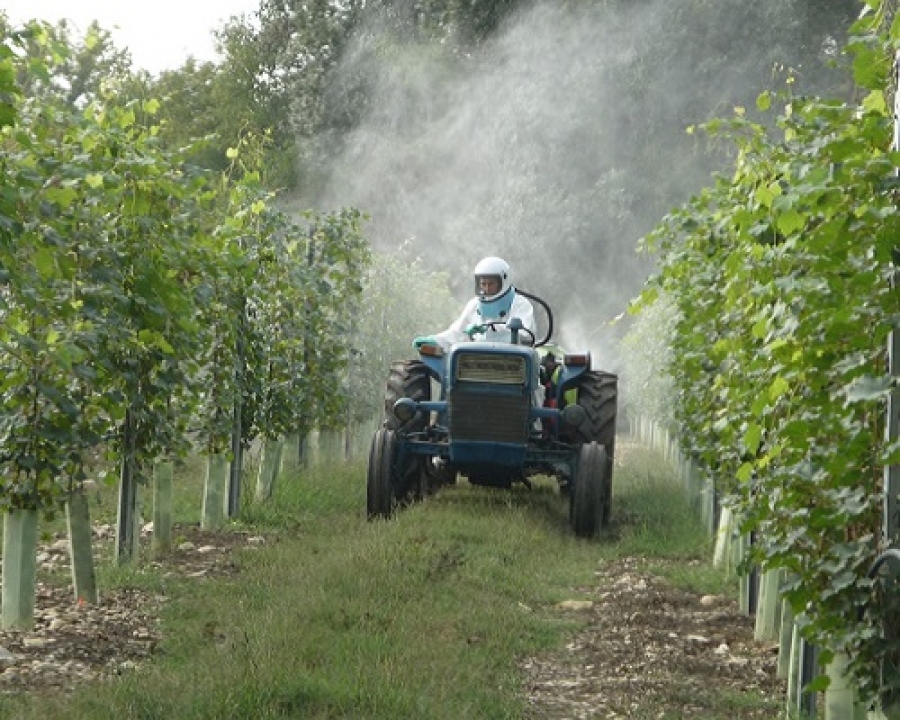 Uso e gestione fitosanitari