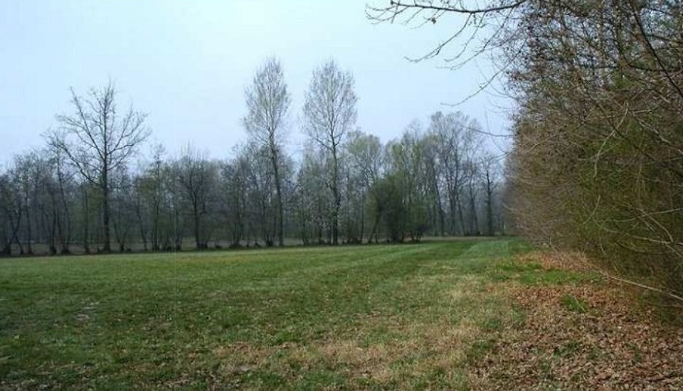 CONVEGNO «Alberi, per ristabilire la Biodiversità e migliorare la Bellezza»