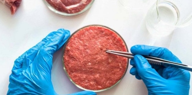 NO CIBO SINTETICO - rischi per la salute