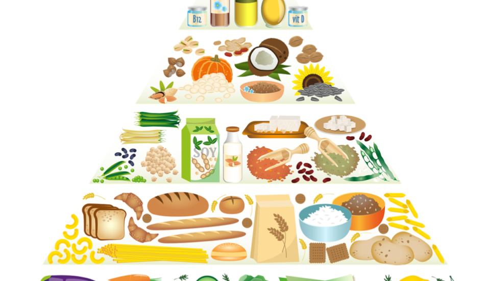 DISTURBO ALIMENTARE...MALATTIA DELL'ANIMA