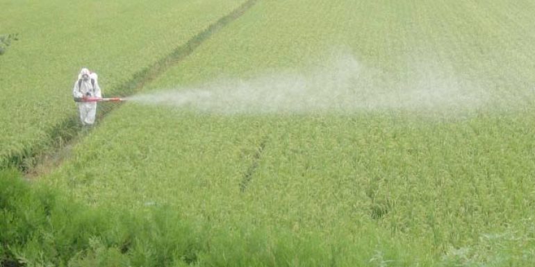 Regolamento uso fitosanitari