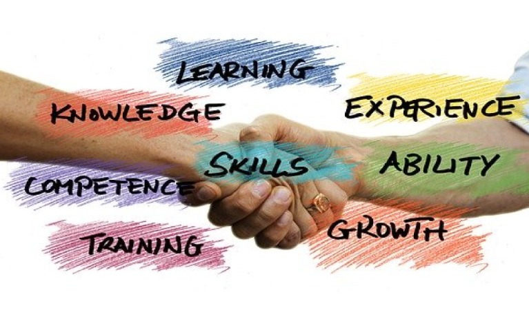 Area Politiche attive per il lavoro - Progetti