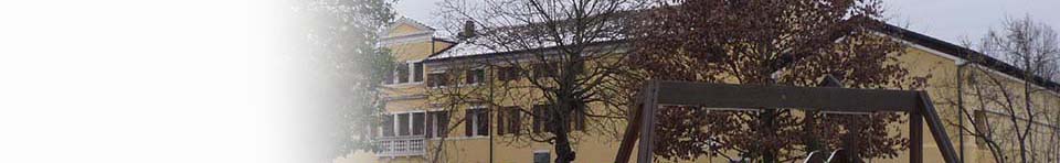 Organi istituzionali