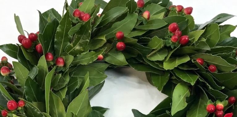 Conseguimento titolo di LAUREA