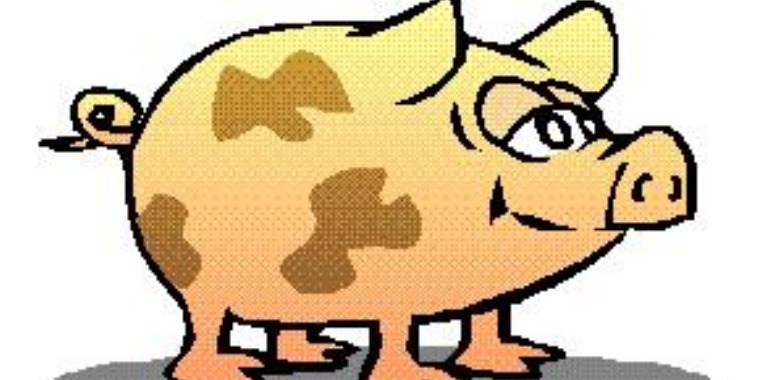 Macellazione suini per uso familiare anno 2023