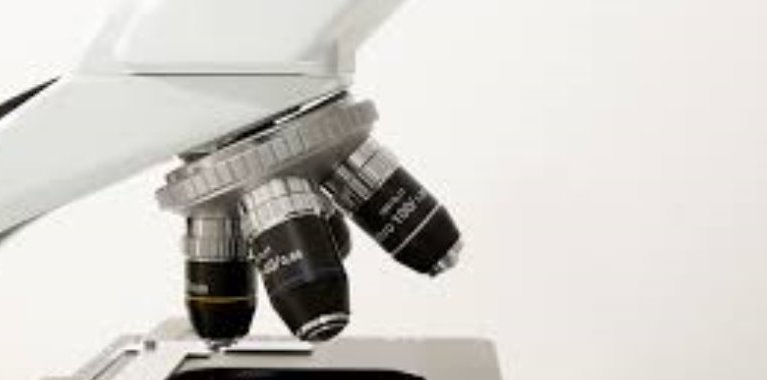 Concorso Leggere le scienze