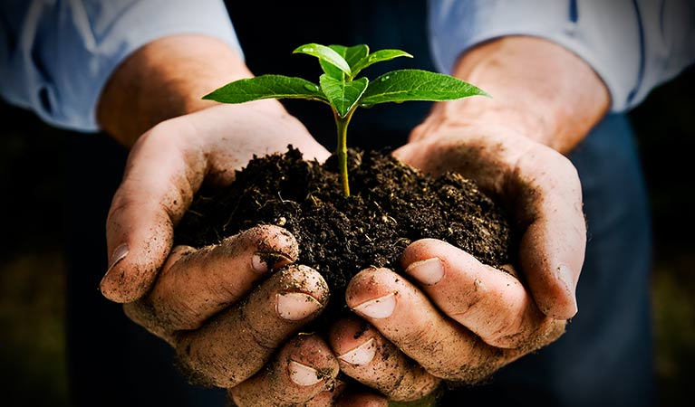 Ecologia, Ambiente e Manutenzione