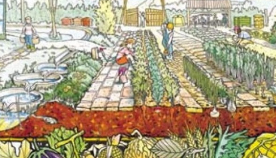 Avviso straordinario per assegnazione di orti urbani di Via delle industrie a Vacil