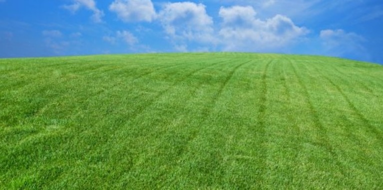 Variante Verde al P.R.G.