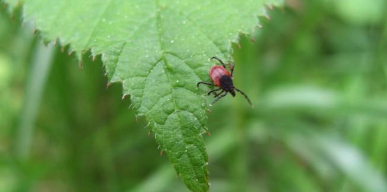 Campagna comunicativa