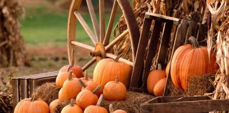 Letture di paura per bambini