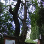 2011_0829Montefiolo0002 2011_0829Montefiolo0002