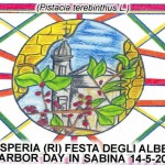 Cartolina terebinto Cartolina terebinto