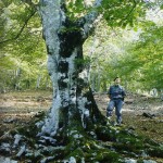 Foto Giusti Foto Giusti