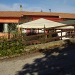 OLYMPUS DIGITAL CAMERA OLYMPUS DIGITAL CAMERA