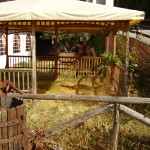 OLYMPUS DIGITAL CAMERA OLYMPUS DIGITAL CAMERA