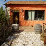 OLYMPUS DIGITAL CAMERA OLYMPUS DIGITAL CAMERA