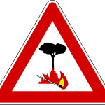 Prevenzione degli incendi boschivi