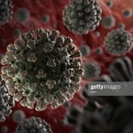 Covid-19: nuove regole scuolabus