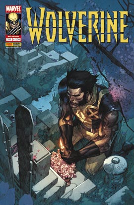 Wolverine 253