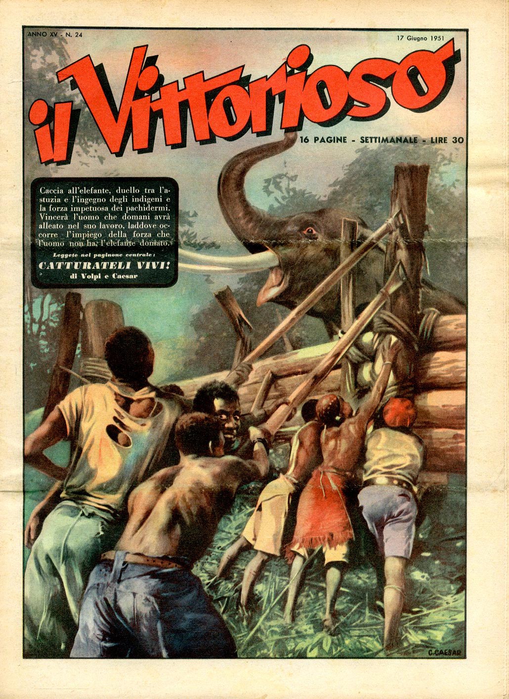 Vittorioso 1951 25