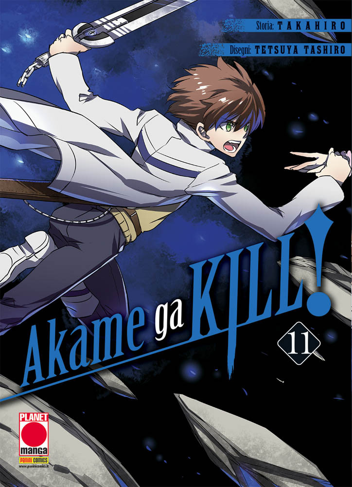 Akame ga Kill! n.11