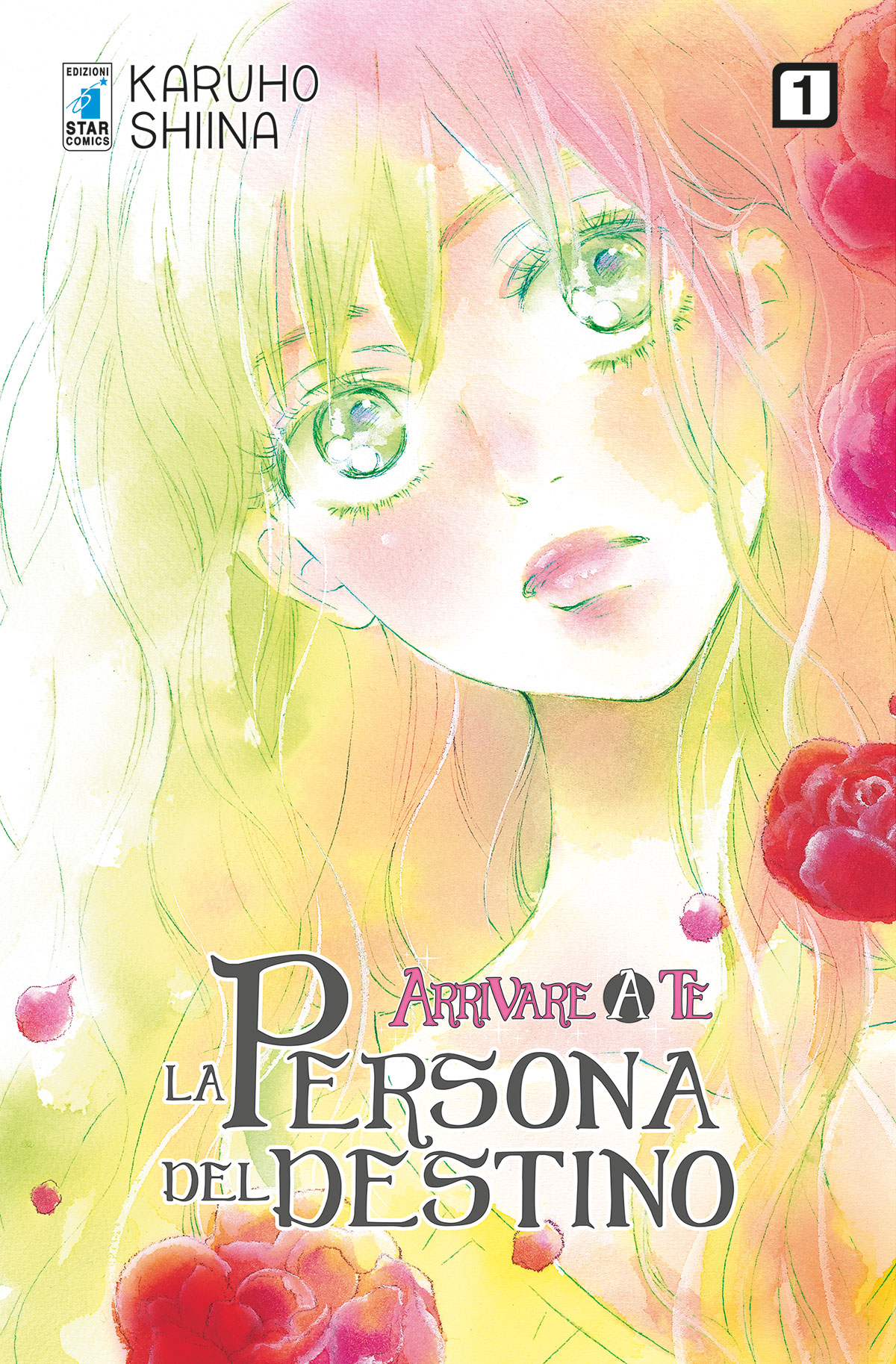 Arrivare a te: La persona del destino 1
