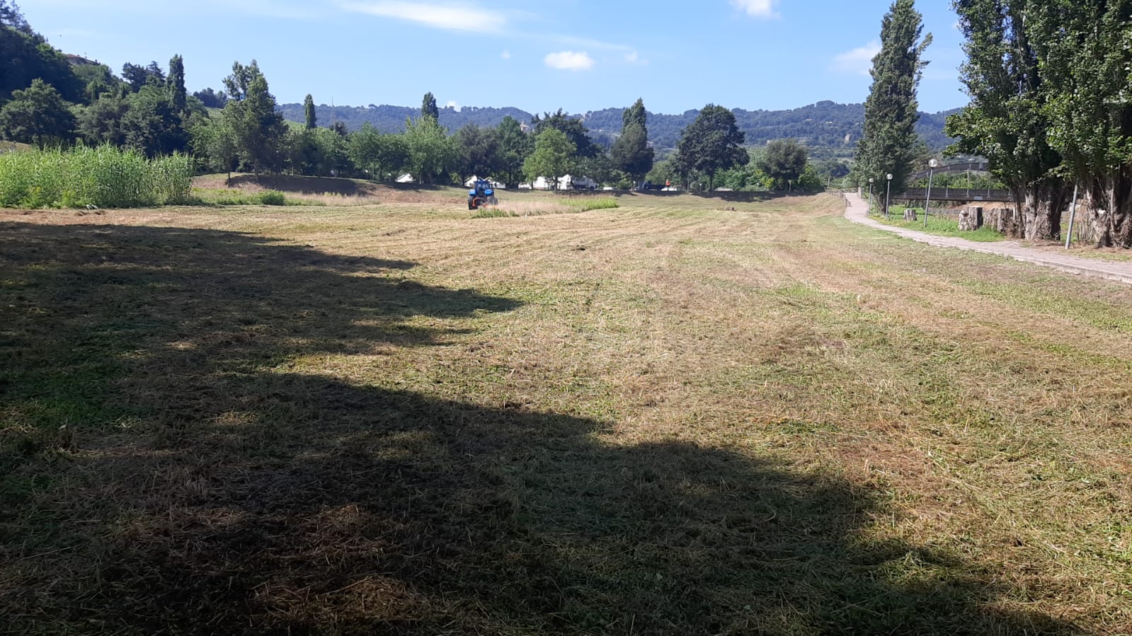 25c46032-6eb7-4f82-af41-5ccc80aaf92e 4354