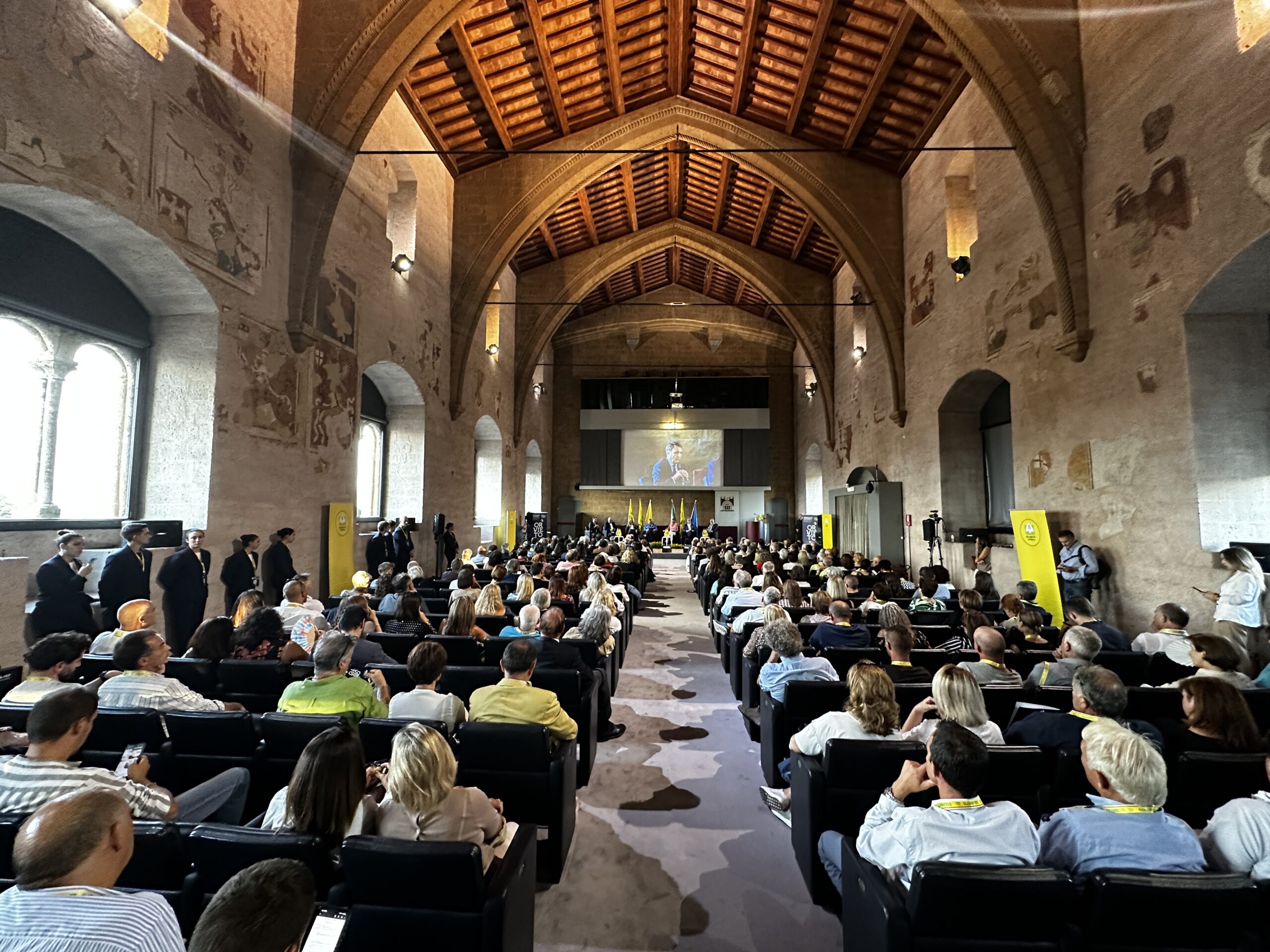 IMG_0044-1-scaled 3807