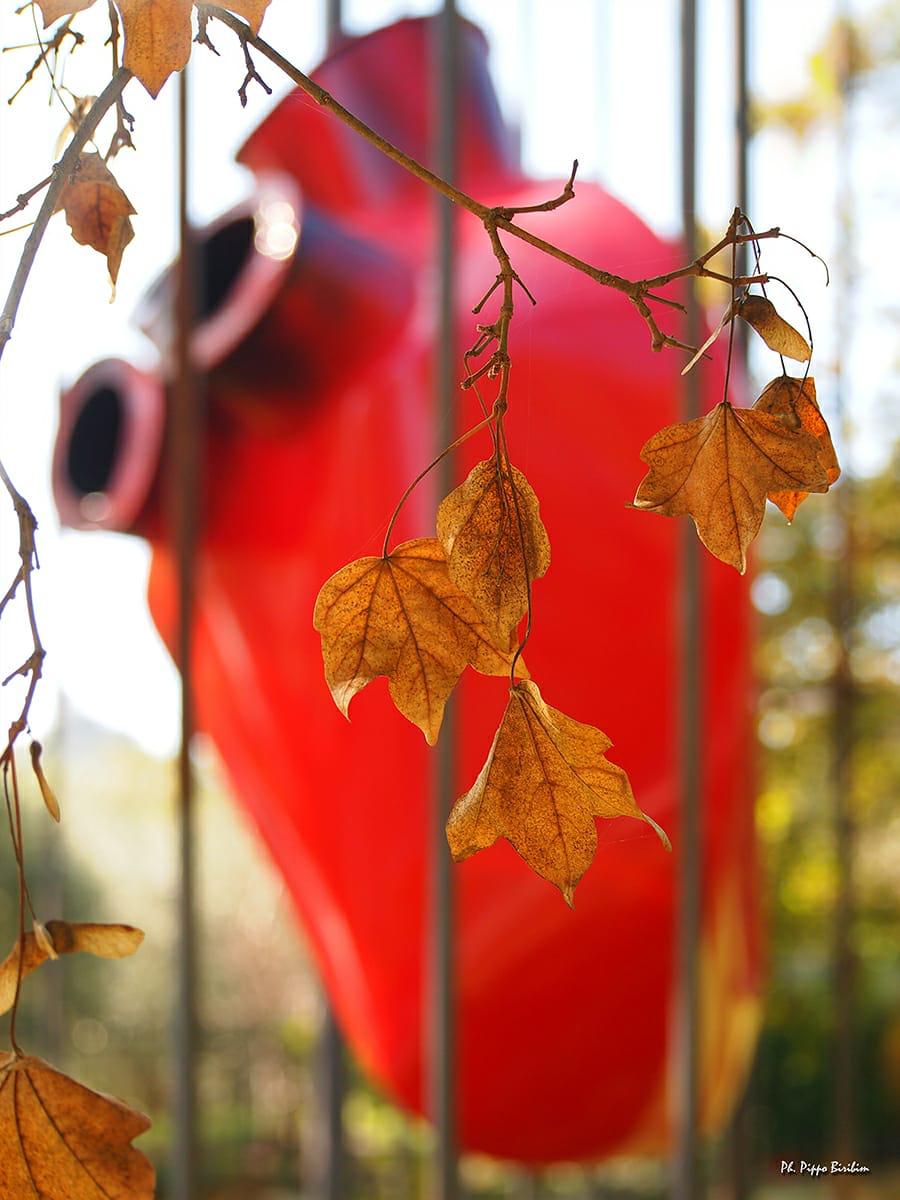 La-violenza-non-e-amore 3296