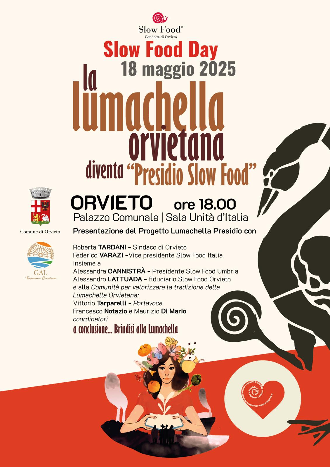 WhatsApp-Image-2025-05-13-at-14.46.08 2314