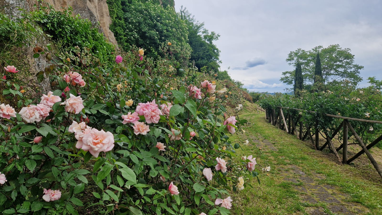 WhatsApp-Image-2025-05-17-at-14.28.04 89