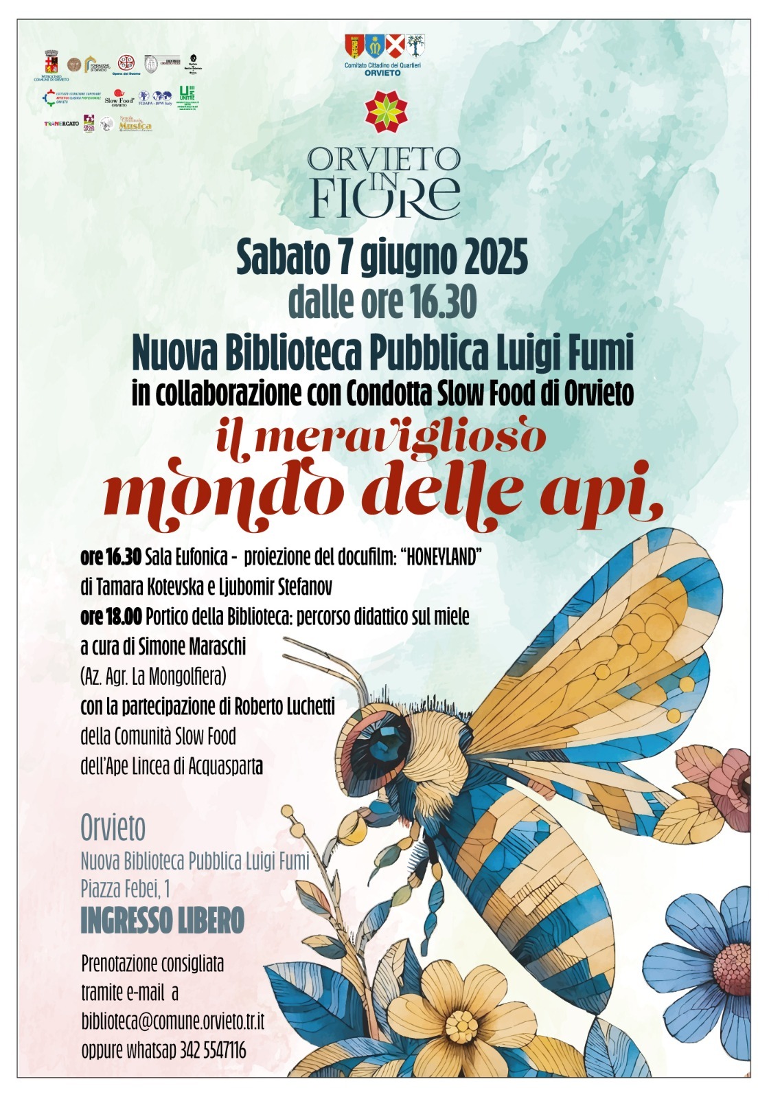 WhatsApp-Image-2025-06-04-at-08.27.00 1580