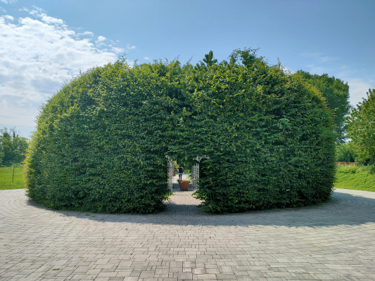 MIL-208 image23
