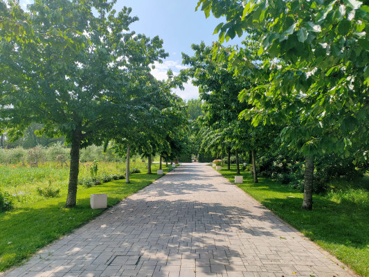 MIL-208 image20