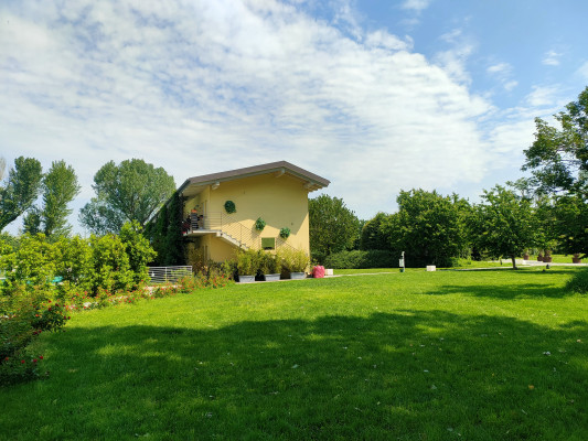 MIL-208 image26
