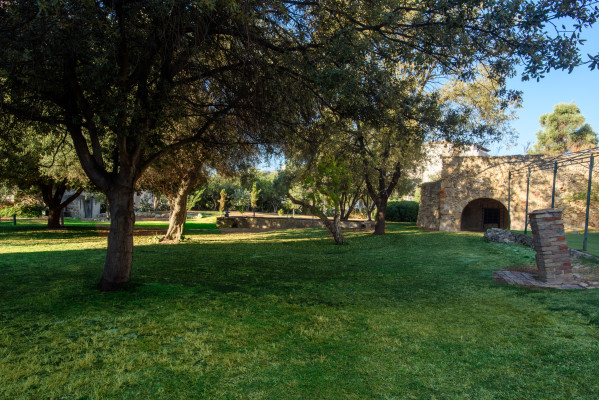 SAR-1 image22