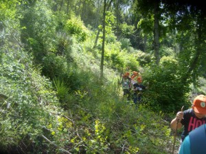 sul Sentiero Natura